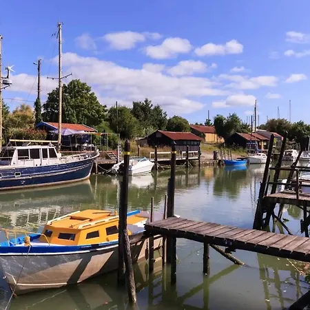 Villa Avec Piscine Entre Plages Et Villages De Pecheur La Tremblade